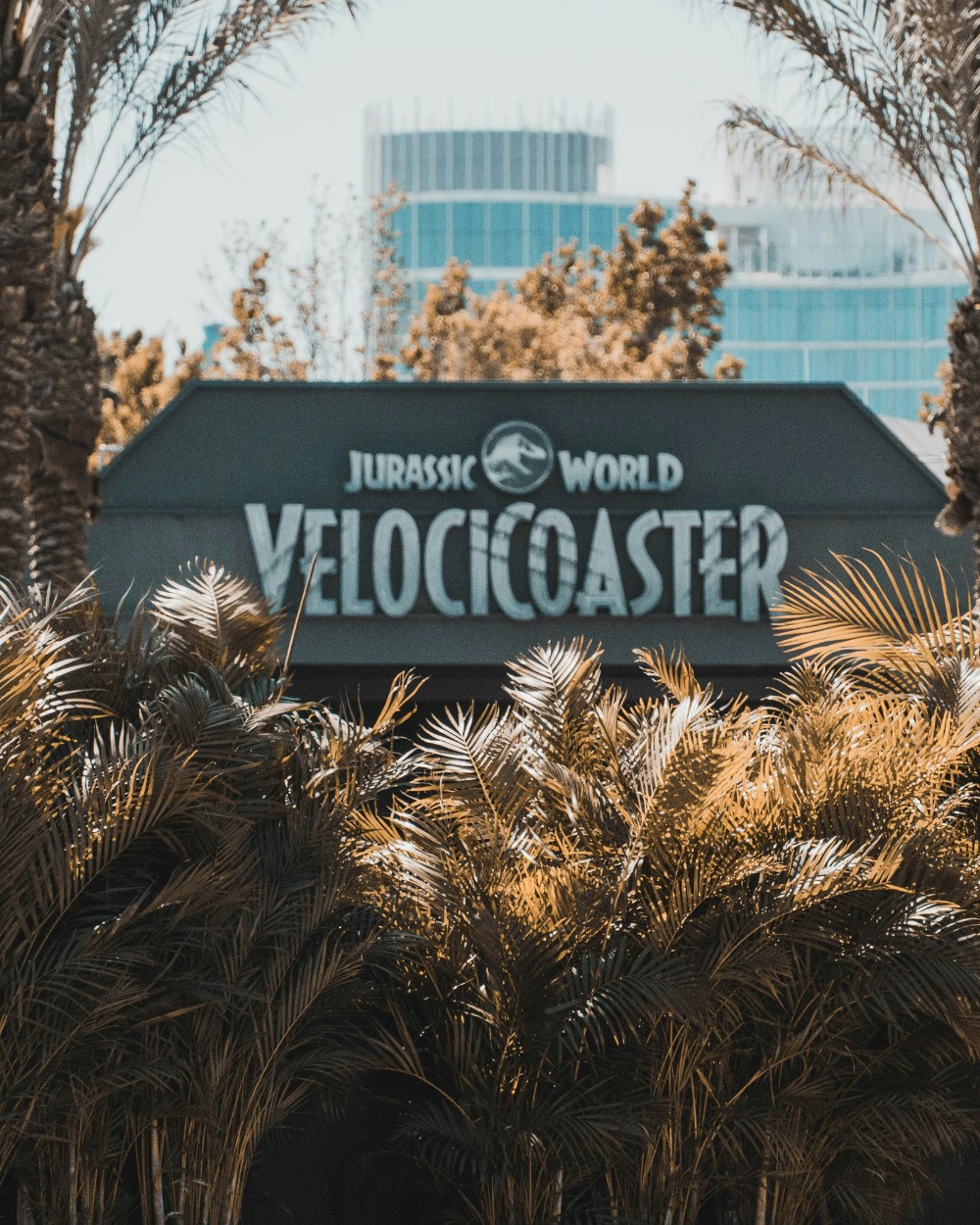 Categorias velocicoaster